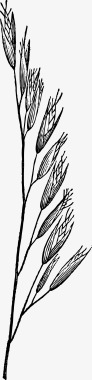 黑色麦穗谷物图标图标
