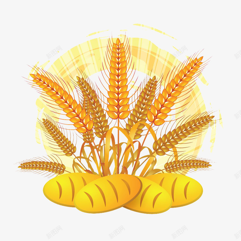 小麦面包png免抠素材_新图网 https://ixintu.com 丰收 金色 食物 麦穗