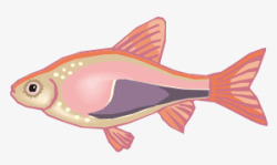 热带粉卡通热带鱼粉小鱼高清图片