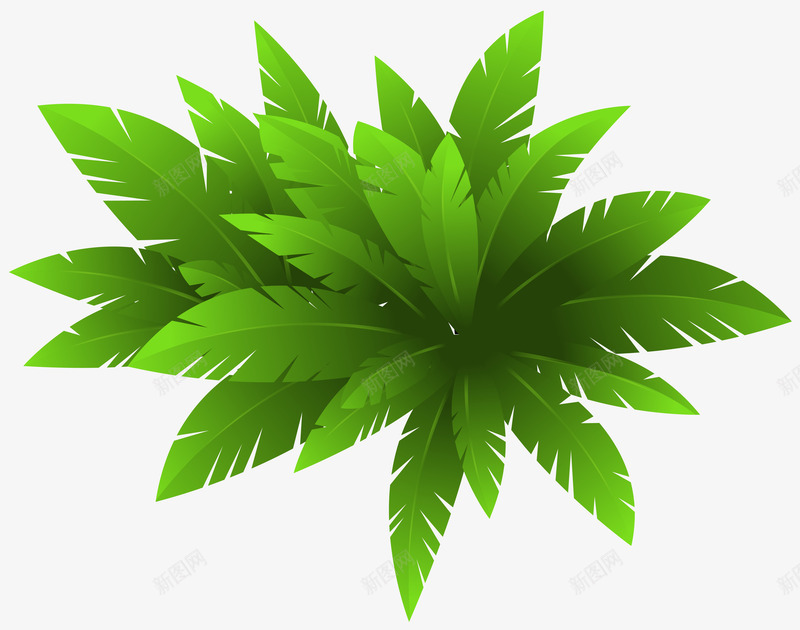 热带绿色植物元素png免抠素材_新图网 https://ixintu.com 光泽 植物 渐变 热带 生长 绿色 自然 锯齿