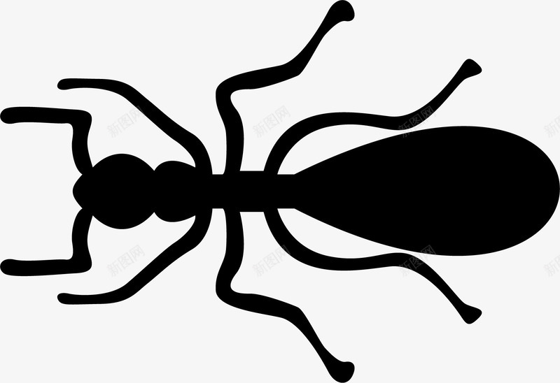 蚂蚁剖面矢量图图标ai_新图网 https://ixintu.com 剖面 昆虫蚂蚁 矢量图 蚂蚁 蝼蚁 黑色 黑色蚂蚁 黑蚂蚁