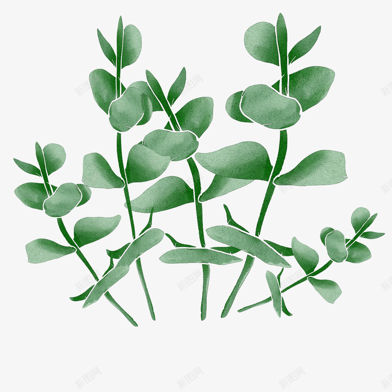绿色植物装饰树叶png免抠素材_新图网 https://ixintu.com 树叶 植物 水彩 绿叶 绿色 装饰