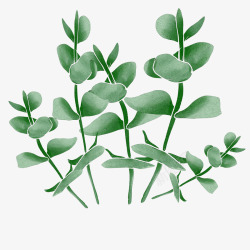 绿色植物装饰树叶素材