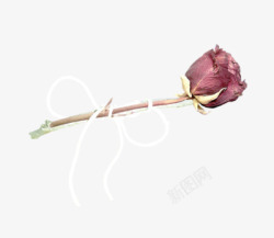 绑绳子绳子绑上的彩绘玫瑰花高清图片