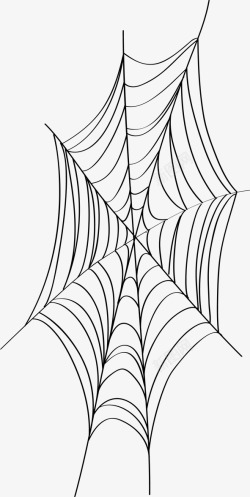 蜘蛛网合成图合成蜘蛛网高清图片