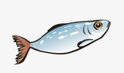 卡通热带鱼蓝小鱼素材
