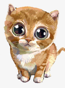 萌萌的大眼睛猫咪高清图片