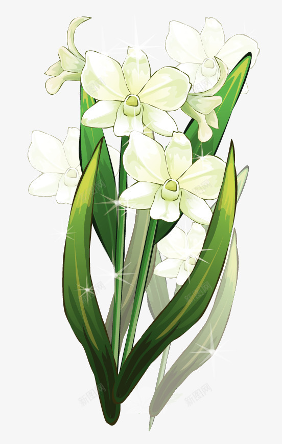 花朵花卉矢量图eps免抠素材_新图网 https://ixintu.com 白色的花 百合 绿叶 花卉 花朵 矢量图