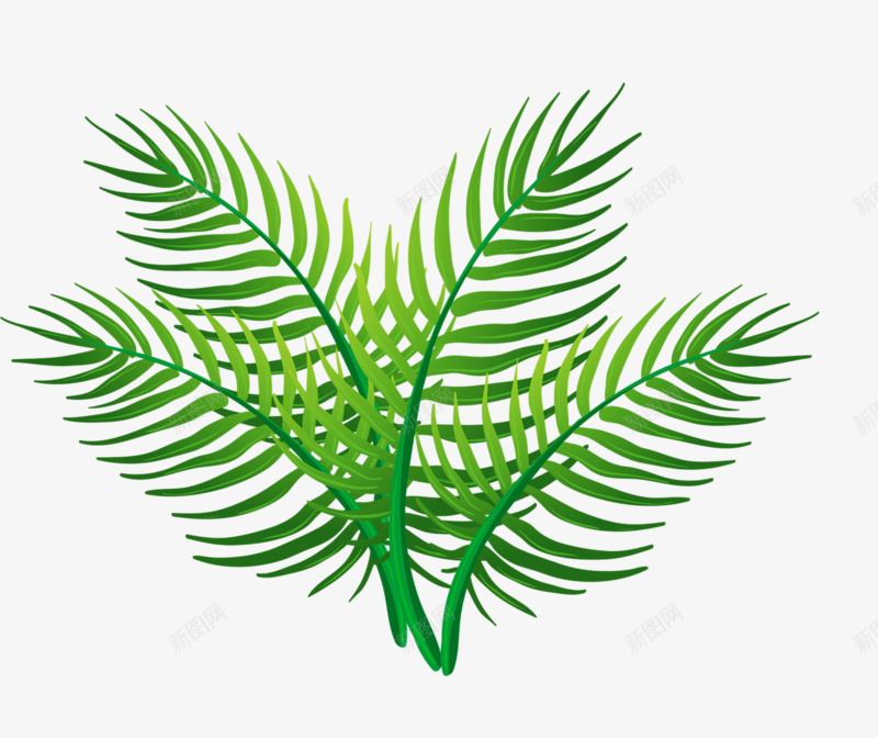 植物叶子png免抠素材_新图网 https://ixintu.com 树叶子 热带植物 针叶植物