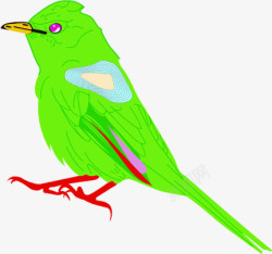绿色手绘小鸟造型素材