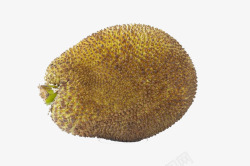 一个木菠萝木菠萝特写高清图片