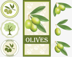 橄榄油图标橄榄油标贴图标高清图片