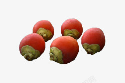 沙巴棕红色棕榈果高清图片
