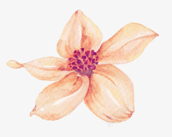 水彩橘色花朵图案素材