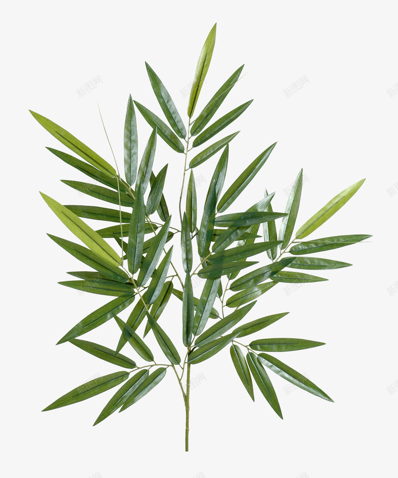 绿色植物装饰贴图png免抠素材_新图网 https://ixintu.com 叶子 植物 装饰