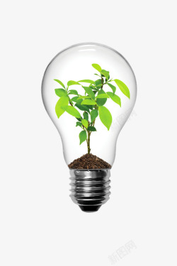 创意灯泡里的植物素材