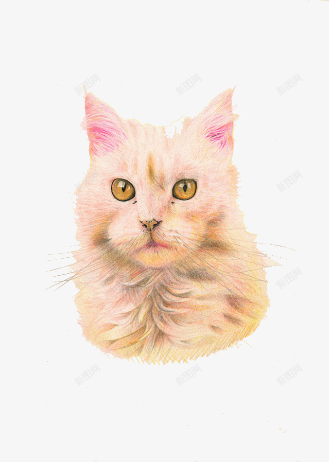 竖着耳朵的猫咪png免抠素材_新图网 https://ixintu.com 可爱 猫咪 琉璃眼 黄色