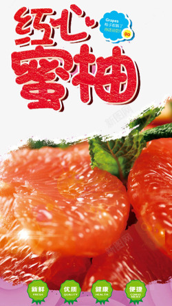 甜柚子红心蜜柚广告高清图片