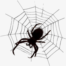 手绘黑色蜘蛛网合成图合成蜘蛛网高清图片