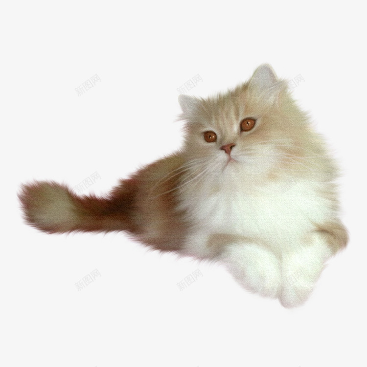 可爱猫咪png免抠素材_新图网 https://ixintu.com 动物 可爱 宠物 猫 猫咪