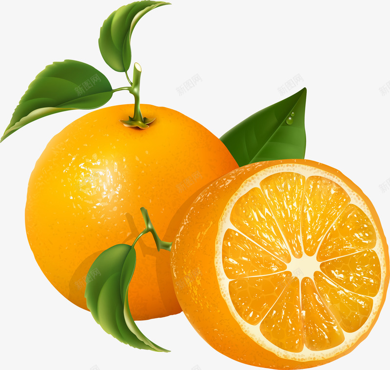橙色简约橘子装饰图案png免抠素材_新图网 https://ixintu.com 免抠PNG 橘子 橙色 简约 装饰图案