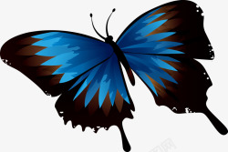 飞舞的蓝色蝴蝶图素材