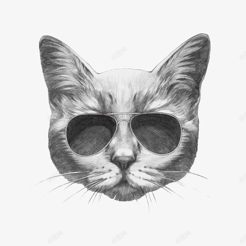 戴眼镜的灰猫png免抠素材_新图网 https://ixintu.com 卡通 圆猫脸 帅气 戴眼镜的猫 手绘 灰猫 长毛 黑框墨镜