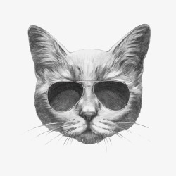 圆墨镜戴眼镜的灰猫高清图片