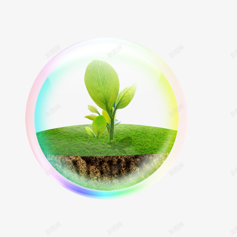 气泡里有植物png免抠素材_新图网 https://ixintu.com 嫩芽 植物 气泡 绿叶