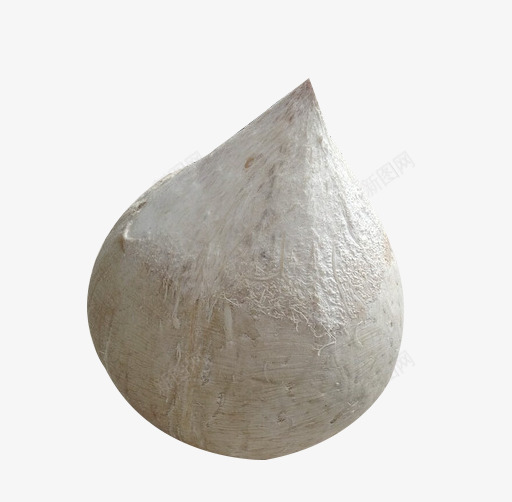 一个新鲜的椰子png免抠素材_新图网 https://ixintu.com 产品实物 椰子 椰汁 椰肉 水果 热带水果 白色