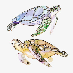 水彩海龟水彩海龟矢量图高清图片