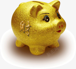 金色磨砂小猪储蓄罐素材