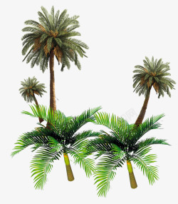男装植物椰树素材
