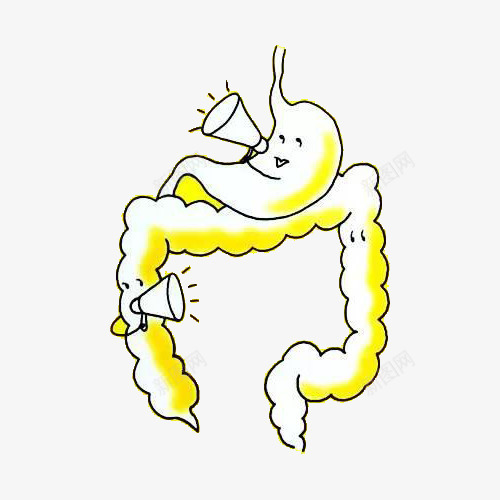 卡通手绘肠道png免抠素材_新图网 https://ixintu.com 卡通肠道 喇叭 手绘 手绘肠道 肠道 肠道设计 胃 黄色