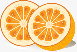 成熟的橘色水果矢量图素材