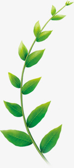 扁平风格绿色植物树叶素材