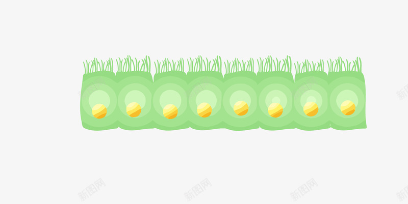 绿色细胞排列png免抠素材_新图网 https://ixintu.com 喇叭排列 干细胞 细胞 绿色 绿色细胞