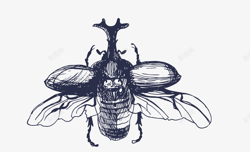 黑色昆虫矢量图eps免抠素材_新图网 https://ixintu.com 免扣png 矢量昆虫 虫子 黑色昆虫 矢量图