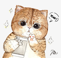 彩铅画猫咪手绘猫咪高清图片