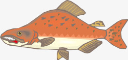 红小鱼卡通热带鱼红小鱼高清图片