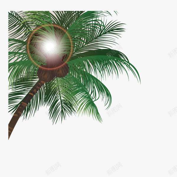 植物png免抠素材_新图网 https://ixintu.com 免费 椰子树 热带 绿色