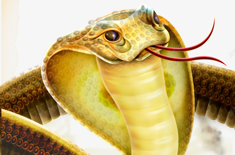 卡通盘卧的眼镜蛇png免抠素材_新图网 https://ixintu.com 卡通动物 卡通眼镜蛇 盘卧的蛇