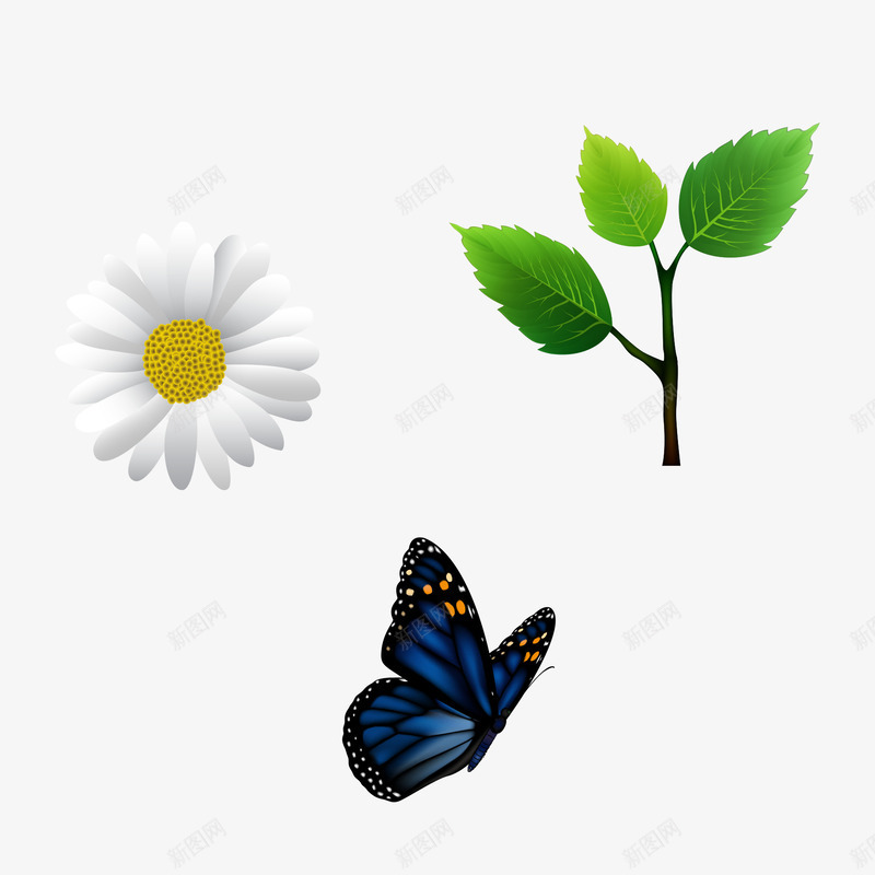自然动植物png免抠素材_新图网 https://ixintu.com 大自然 昆虫 树叶 花卉
