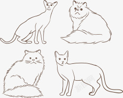 安哥拉猫手绘宠物猫咪矢量图高清图片