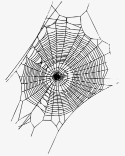 合成蜘蛛网素材