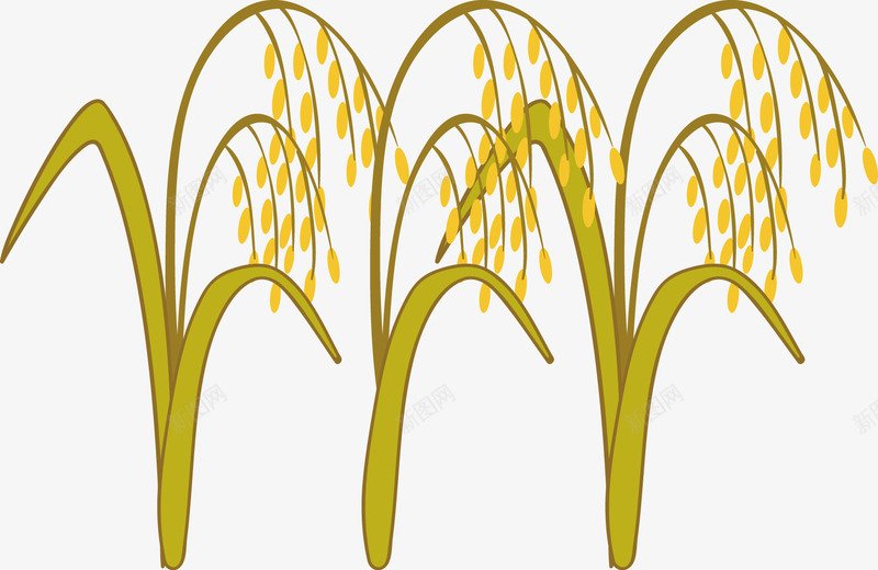 植物小麦矢量图ai免抠素材_新图网 https://ixintu.com 小麦 植物 食物 矢量图