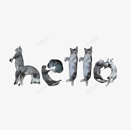 创意猫咪组成的英文HELLOpng免抠素材_新图网 https://ixintu.com HELLO英文 动物 可爱 猫咪