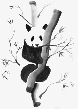 油墨插画中国风水墨熊猫高清图片
