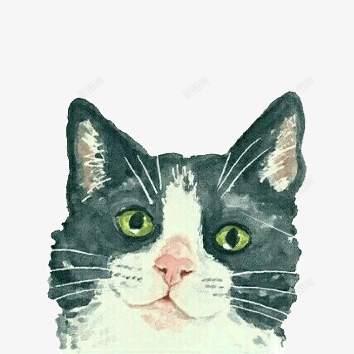 水彩可爱猫png免抠素材_新图网 https://ixintu.com 动物 水彩 水彩画 猫咪