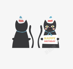 正反猫猫咪高清图片